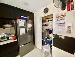 Parkshore (D15), Condominium #484216021